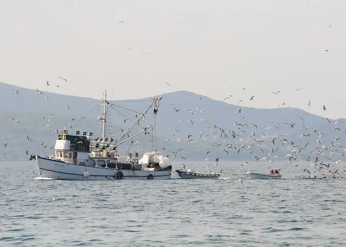 Apartman Croatia זאדאר